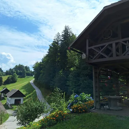 アパート Apartma Slovenias *