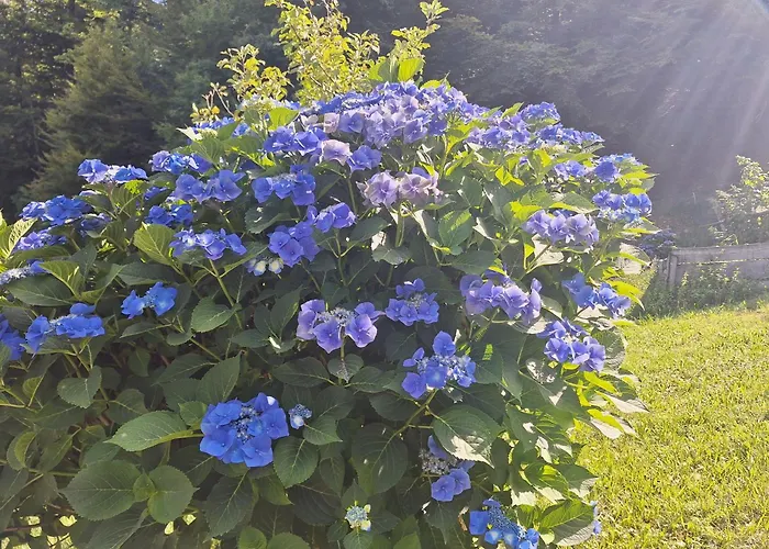 Apartma Slovenias Lejlighed