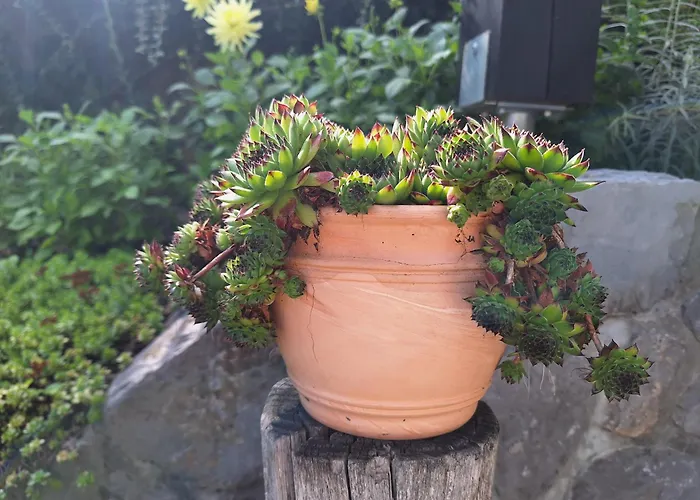 דירה Apartma Slovenias *